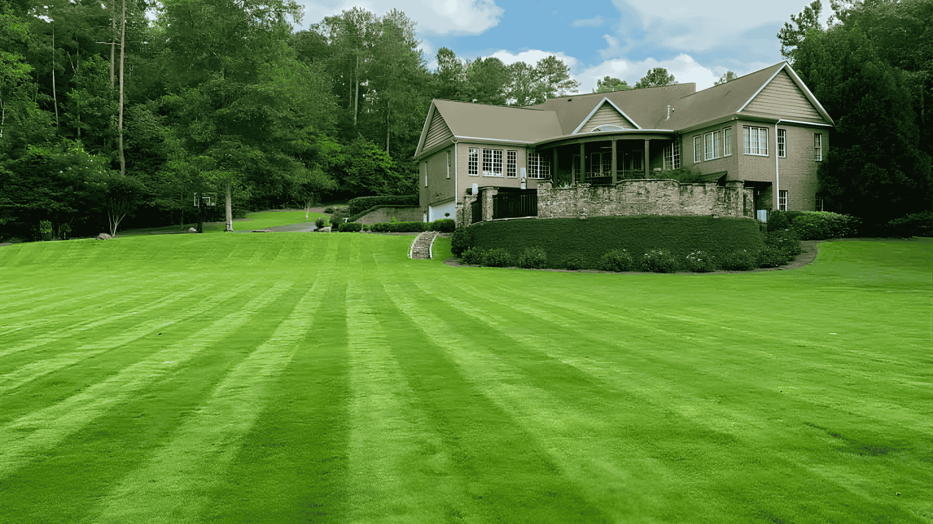 Freshly cut residential lawn with professional mowing lines maintained by lawn care company