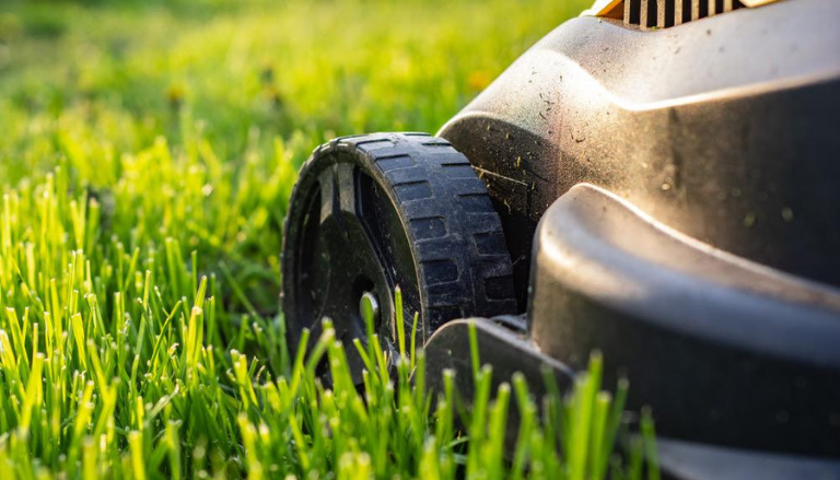 Experienced technician assessing turf health while maintaining a well-manicured lawn in Warner Robins, GA