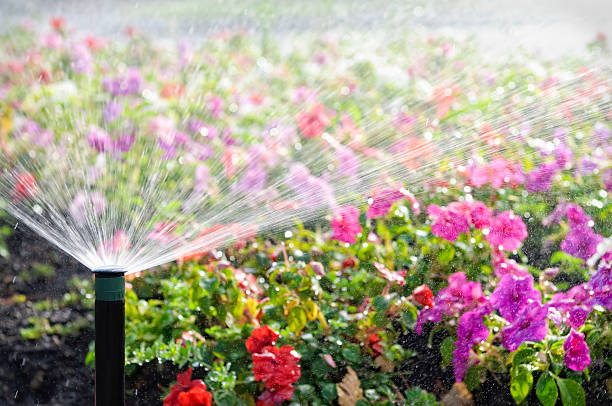Technician testing irrigation zones beside planting beds at a Milledgeville, GA property during system check