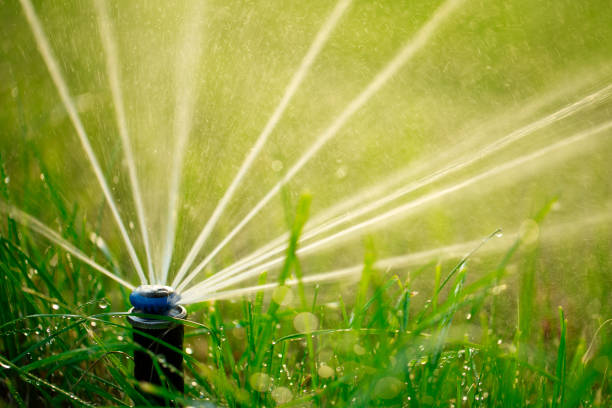 Cutting Edge Landscaping, LLC irrigation in Milledgeville, GA