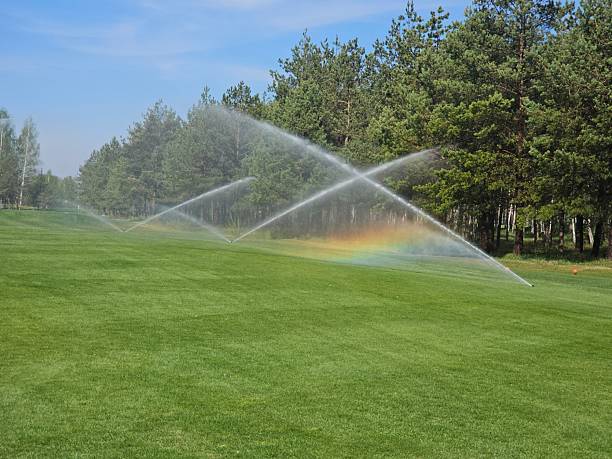 Cutting Edge Landscaping, LLC irrigation in Greensboro, GA