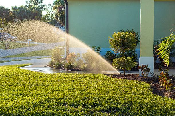 Landscape technician monitoring irrigation flow in Athens, GA while checking sprinkler coverage across a residential yard