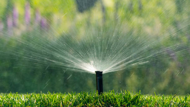 Irrigation in Madison, GA being adjusted as a technician tests sprinkler spray near a front lawn