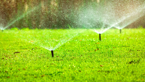 Cutting Edge Landscaping, LLC irrigation services in Madison , GA for healthy residential lawns