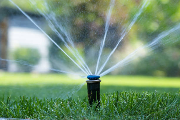 Cutting Edge Landscaping, LLC irrigation services in Warner Robins, GA for healthy residential lawns