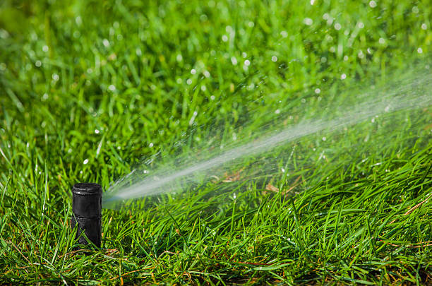 Irrigation in Forsyth, GA being tested as a technician checks sprinkler coverage near landscape beds