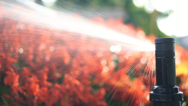 Cutting Edge Landscaping, LLC irrigation services in Forsyth, GA for healthy residential lawns