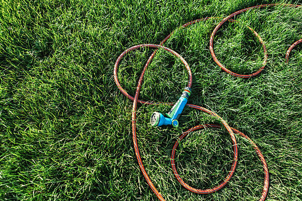 Turf care service in Warner Robins, GA by Cutting Edge Landscaping, LLC