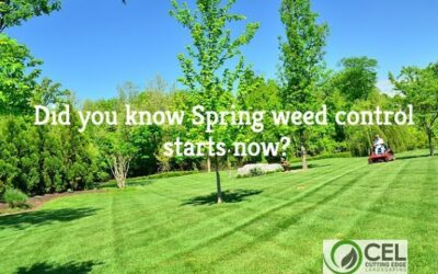 Spring Weed Control